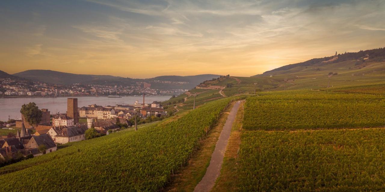Weinhotel Des Riesling Zum Gruenen Kranz Rüdesheim am Rhein Exterior foto